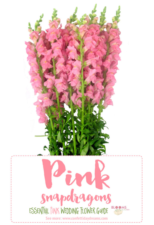 The Essential Pink Wedding Flowers Guide: Types of Pink Flowers, Names