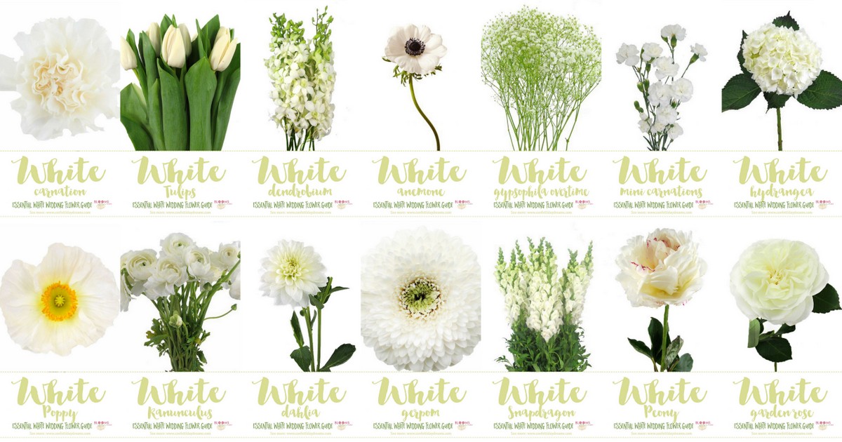 types of flowers for weddings